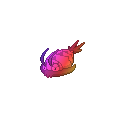Rainbow Wimpod